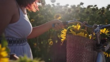 Şapkalı ve bisikletli beyaz elbiseli bir kadın ayçiçekleri ile polenlerin arasında yürüyor.