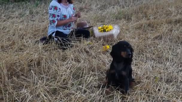 Mujeres Trenzando Corona Girasoles Trigo Prado — Vídeos de Stock