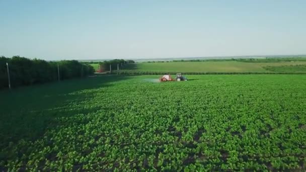 Вид Воздуха Трактор Посыпает Поле Подсолнухом Распылитель Обрабатывает Пестицид Плантации — стоковое видео