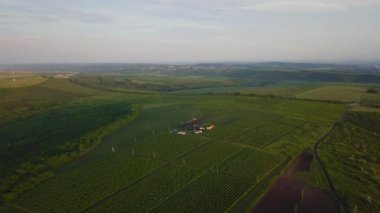 Gün batımında yeşil bir arazide uçan yavaş hava çekimi