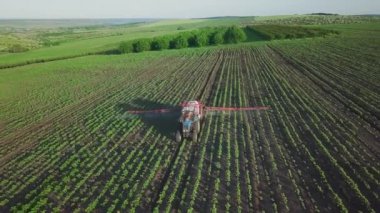 Aerial view. The tractor sprinkles the field with a sunflower. The sprayer processes the pesticide plantation helianthus plantation 4k video.