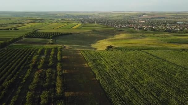 Aerial Voo Sobre Campos Pôr Sol Bela Paisagem Com Campos — Vídeo de Stock