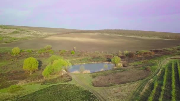 Baharda Küçük Bir Göl Meyve Bahçesi Üzerinden Uçacağız Havadan — Stok video
