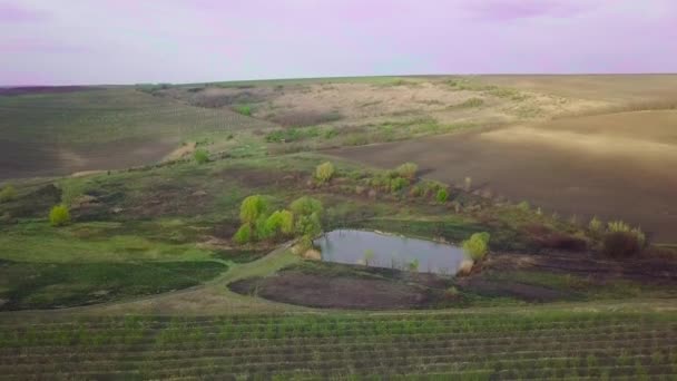 Baharda Küçük Bir Göl Meyve Bahçesi Üzerinden Uçacağız Havadan — Stok video