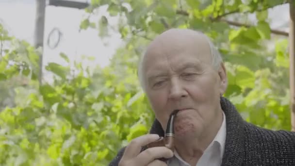 Idősebb Férfi Dohányzik Dohány Pipa Luking Kamera Előtt — Stock videók