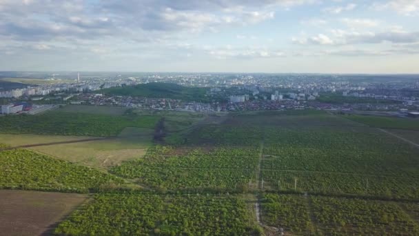 Volando Sobre Huerto Viev Aéreo Huerto Redondeado Ciudad — Vídeos de Stock