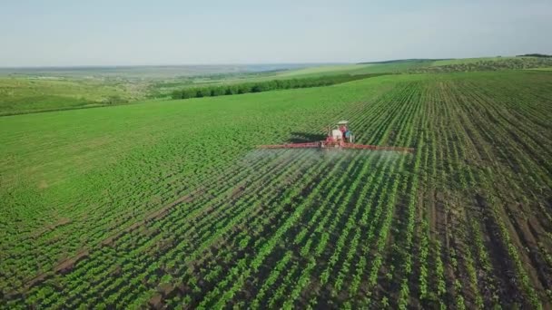 Aerial View Tractor Sprinkles Field Sunflower Sprayer Processes Pesticide Plantation — Stockvideo