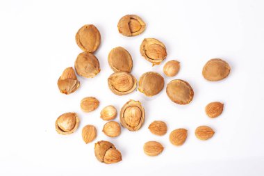 Kayısı çekirdeği beyaz arkaplanda izole edildi