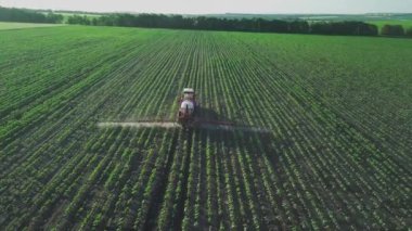 Aerial view. The tractor sprinkles the field with a sunflower. The sprayer processes the pesticide plantation helianthus plantation 4k video.