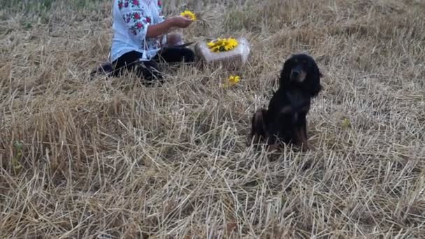 Mujeres Trenzando Corona Girasoles Trigo Prado Mujeres Perro — Vídeo de stock