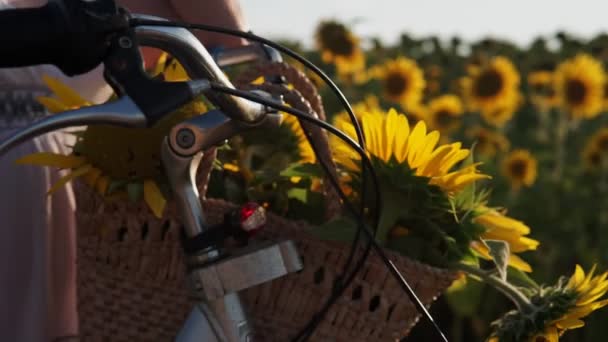 Kvinna Hatt Och Vit Klänning Med Cykel Går Genom Pollen — Stockvideo