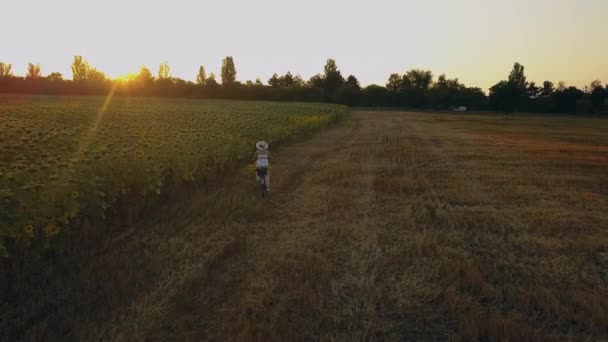 Pohled Shora Ženu Bílých Šatech Která Vede Kolo Poli Slunečnicemi — Stock video