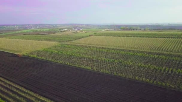 Vídeo Aéreo Plantaciones Con Huertos — Vídeo de stock