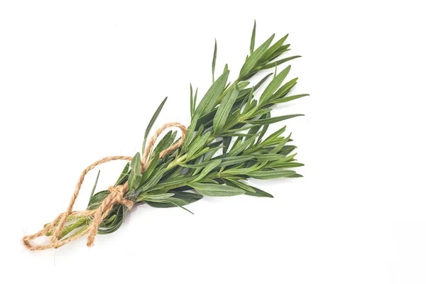 Tied Fresh Rosemary White Background Aromat Herb — Stock Photo, Image