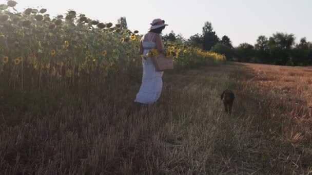 Una mujer con un sombrero y un vestido blanco y un perro pasea por un campo con girasoles — Vídeos de Stock