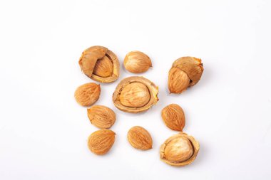 Kayısı çekirdeği beyaz arkaplanda izole edildi