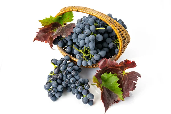 Grapes Wooden Basket White Background — Stock Photo, Image