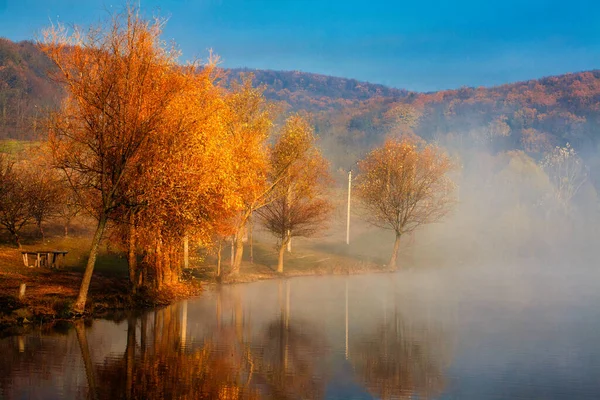 Amanecer Sobre Lago Niebla Bastones Primer Plano Costa Del Lago —  Fotos de Stock