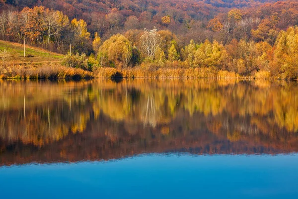 Pădure Colorată Toamnă Reflecție Apă Lac Calm — Fotografie, imagine de stoc