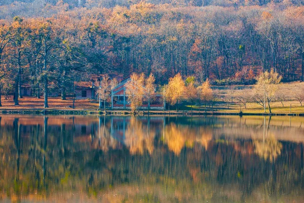 Barevný Podzimní Les Odrazem Vodě Klidného Jezera — Stock fotografie