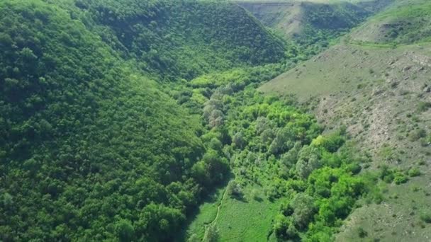 带着森林和地平线上的群山飞过群山 — 图库视频影像
