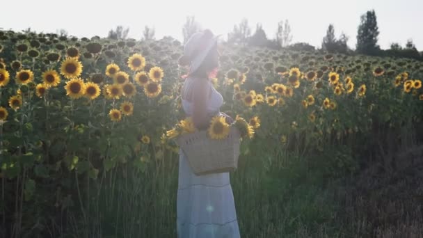 Una Donna Con Cappello Vestito Bianco Cammina Campo Con Girasoli — Video Stock