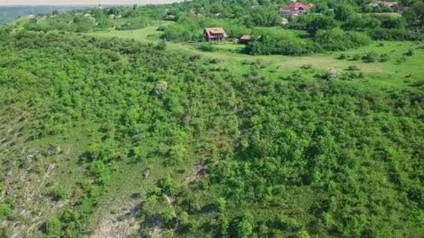 Voando Sobre Montanhas Com Vista Floresta Montanhas Horizonte — Vídeo de Stock