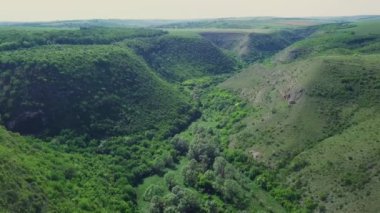 Ufuktaki orman ve dağlarla dağların üzerinden uçuyor..