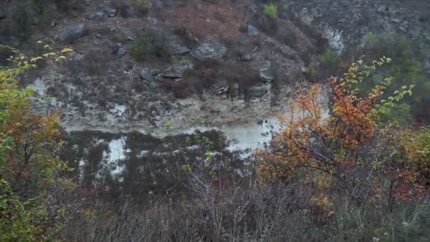 Luidruchtige Herfstdag Bergen Transilvania Roemenië — Stockvideo