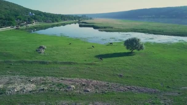 Maestoso Drone Aereo Sorvola Fiume Dniester Repubblica Moldova — Video Stock