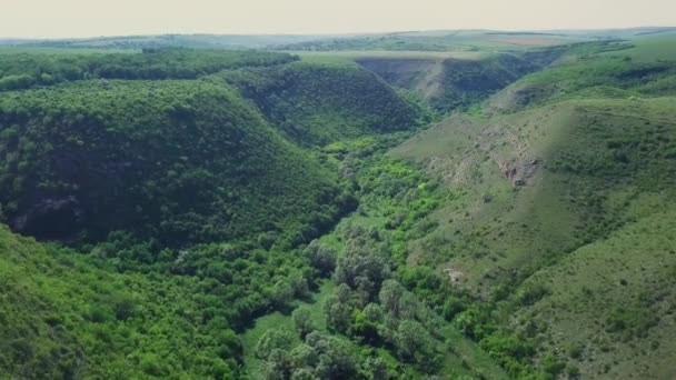 Volando Sobre Las Montañas Con Vista Del Bosque Las Montañas — Vídeo de stock