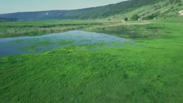 風景川のディスターを通って壮大な空中ドローン飛行 石との急な海岸 — ストック動画