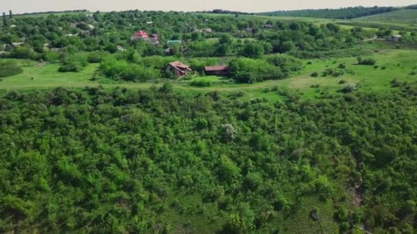 俯瞰着地平线上的一个小村庄 飞越了一片茂密的森林 — 图库视频影像
