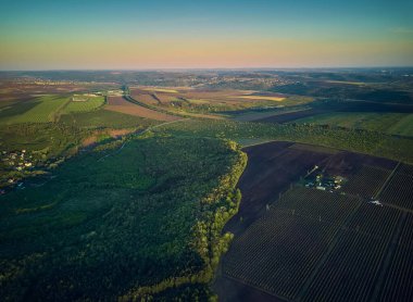 Drone 'dan hava görüntüsü, yeşil bitkilerle dolu bir kuş bakışı.