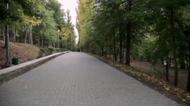 Sonbahar parkında yürüyüş yolunda. Pov vimbal sonbahar parkındaki yürüyüş yolunu sabitledi