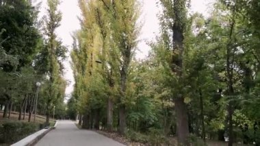 Sonbahar parkında yürüyüş yolunda. Pov vimbal sonbahar parkındaki yürüyüş yolunu sabitledi