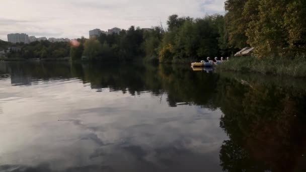 Vista Lago Parque Con Árboles Otoñales Varsovia Coloridos Árboles Otoño — Vídeos de Stock