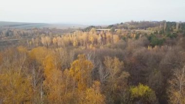 Sonbahar ormanında İHA uçuşu. Sonbahar yaprakları ve ağaçlar. Turuncu, Kırmızı, Sarı ve Yeşil Güzel Sahne.