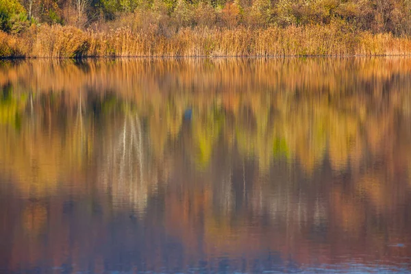 Colorido Bosque Otoñal Con Reflejo Agua Lago Tranquilo — Foto de Stock