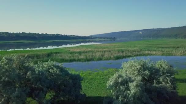 Majestueux vol aérien par drone à travers le paysage rivière Dnister. Rivage escarpé avec des pierres. L'été. 4K