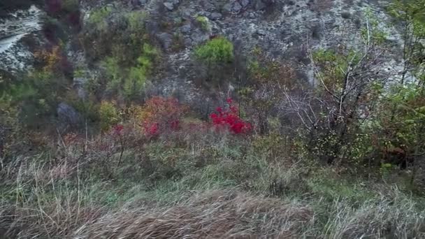 Ruidoso Día Otoño Las Montañas Transilvania Rumania — Vídeos de Stock