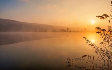 Sisli gölün üzerinde gün doğumu. Canes göl kıyısında ön planda. Nehir kıyısındaki ağaçların üzerinden güneş yükseliyor..