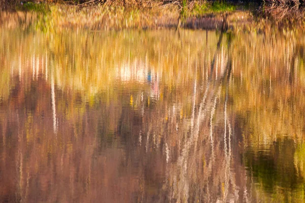 Farbenfroher Herbstwald Mit Spiegelung Wasser Des Ruhigen Sees — Stockfoto
