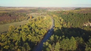 Sonbaharda renkli ormanın havadan görünüşü ve yol kesimi