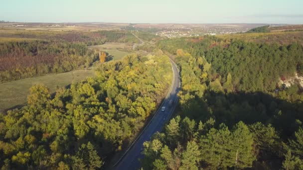 Vista Aérea Del Colorido Bosque Otoño Con Corte Por Carretera — Vídeos de Stock