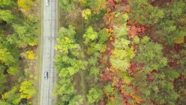 秋のカラフルな森の空中風景と道路の切り通し — ストック動画