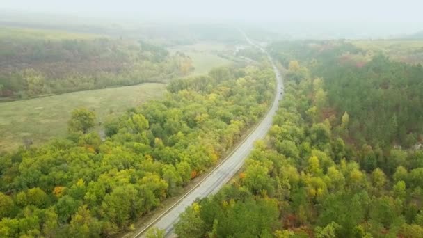 Vue Aérienne Forêt Colorée Automne Avec Coupe Route Travers — Video