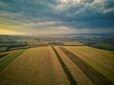 Yamalı çayır tarlalarındaki sağlıklı yeşil ekinler üzerindeki hava manzarası. Manyetik gün batımı.