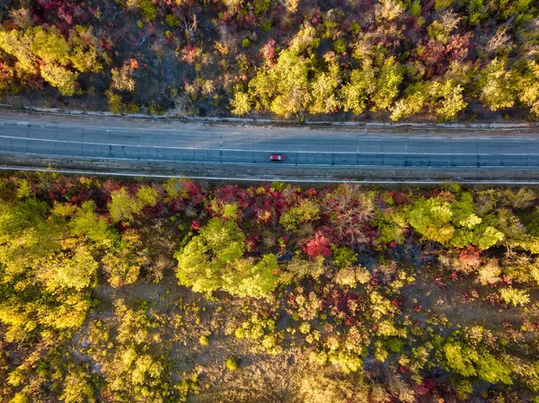 Flygfoto Färgglad Skog Hösten Med Vägbana Genom — Stockfoto