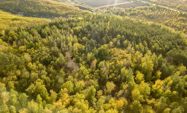 Hermosa Vista Pájaro Imagen Del Paisaje Del Dron Durante Otoño —  Fotos de Stock